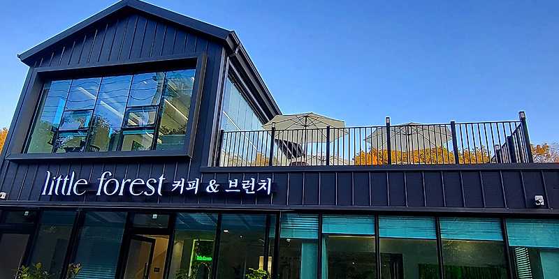 리틀포레스트 경상 애견맛집