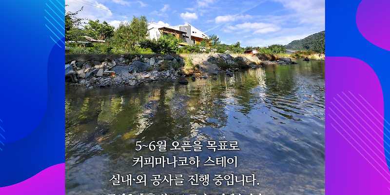 커피마나코하 강원 애견카페