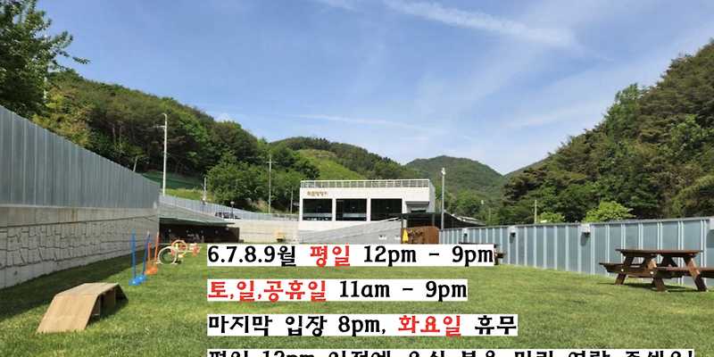 먹골댕댕이 경상 애견카페