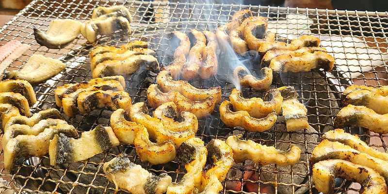 금남리민물장어 경기 애견맛집