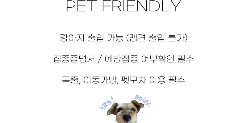 비비커피 경기 애견카페