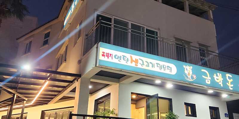 금박돈