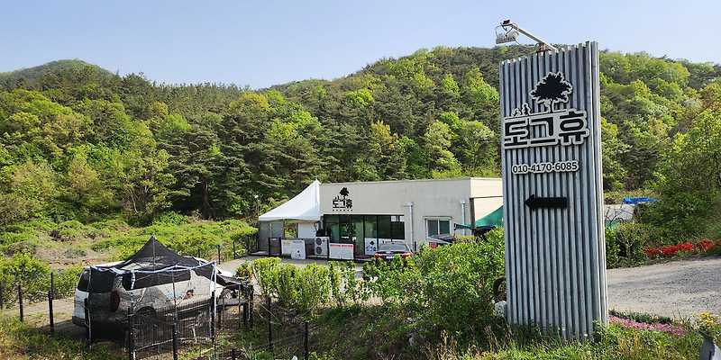 도그휴 경상 애견카페