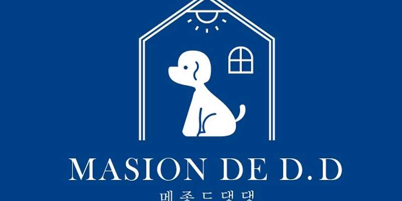 메종드댕댕 경상 애견카페
