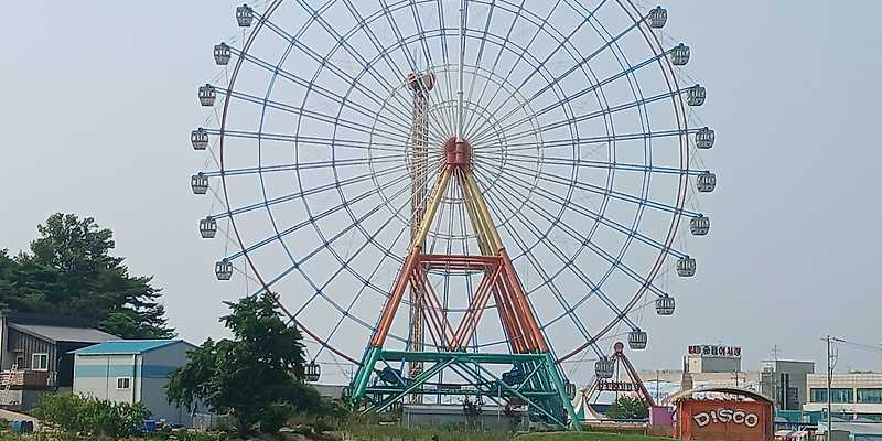 해리's 샵 충청 애견카페