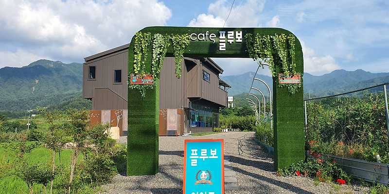 카페플루보 경상 애견맛집