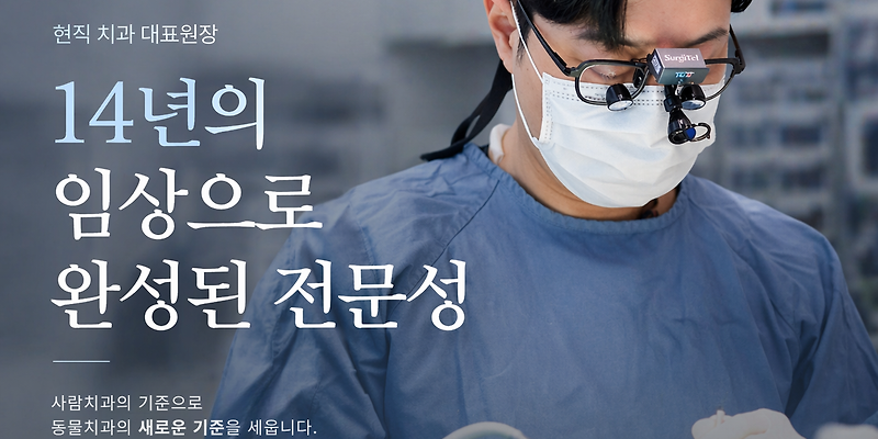 클라리티 동물치과병원