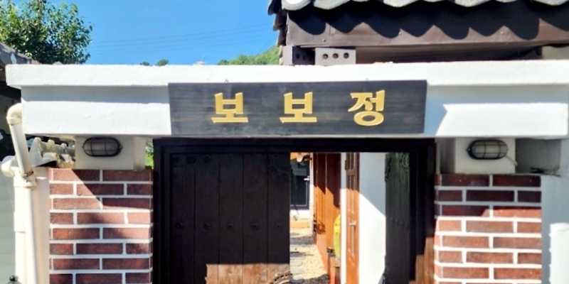 보보정 강원 애견맛집