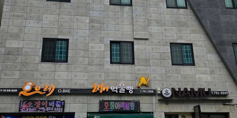 오브레 울릉도점 경상 애견카페