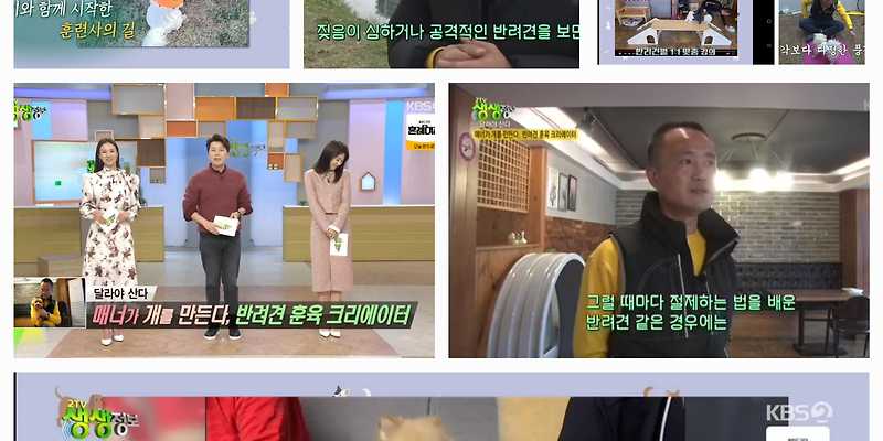 아껴줄개 부산 애견카페