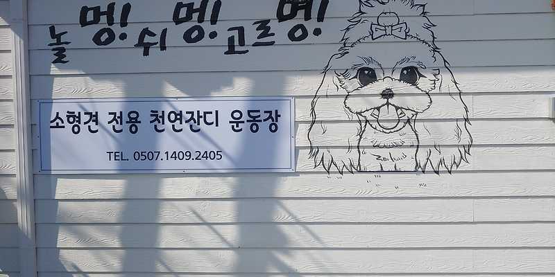 놀멍쉬멍고르멍 제주 애견카페
