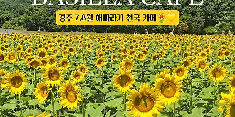 바실라 경상 애견카페