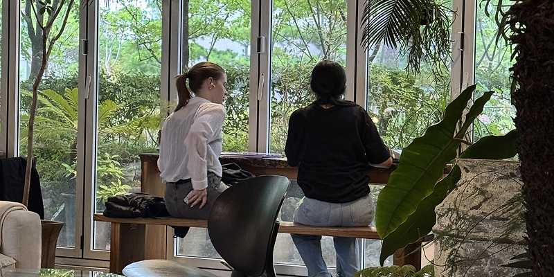 카페수우 하남본점 경기 애견카페