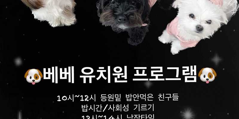 시작에 머물다 반려동물 동반 애견카페