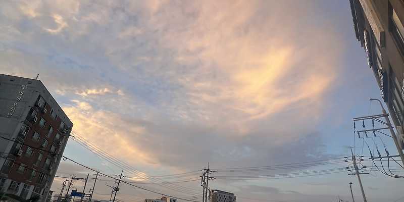 카페베네 태종대점 부산 애견카페