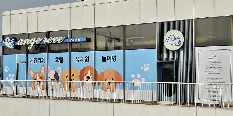 앙쥬레브 송도점 인천 애견카페