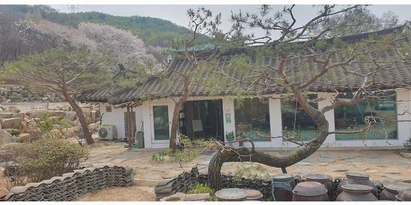 농군의집 경기 애견맛집