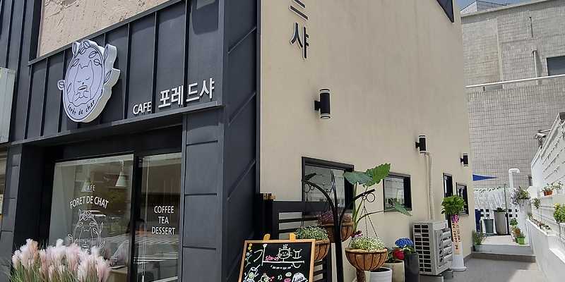 포레드샤 부산 애견카페