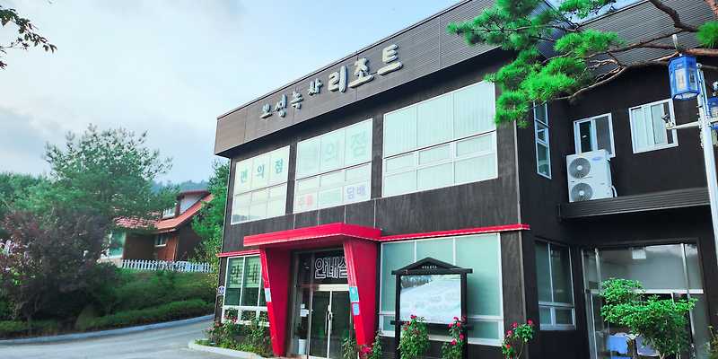 멍파파 반려동물 동반 애견카페