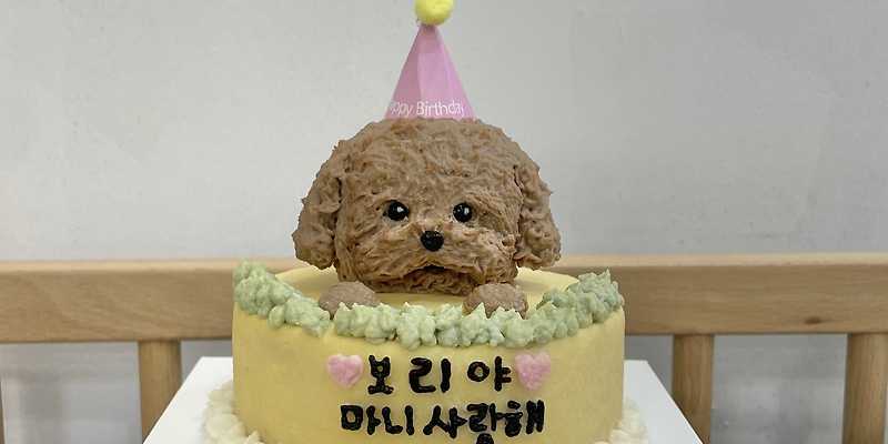 도그랑땡 경기 애견카페
