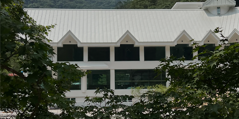 백운 전라 애견카페