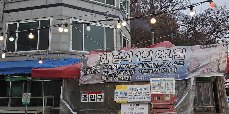 팔각정횟집 충청 애견맛집