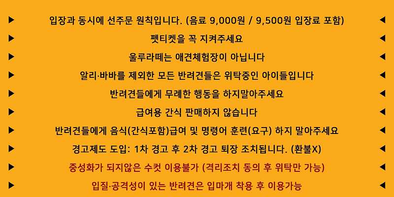 울루라떼 경기 애견카페