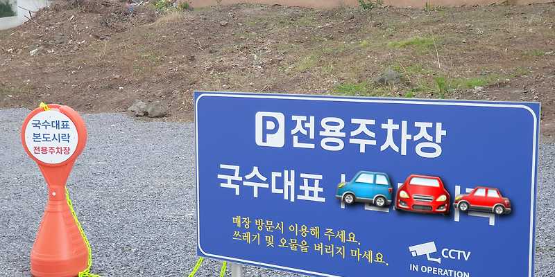 국수대표