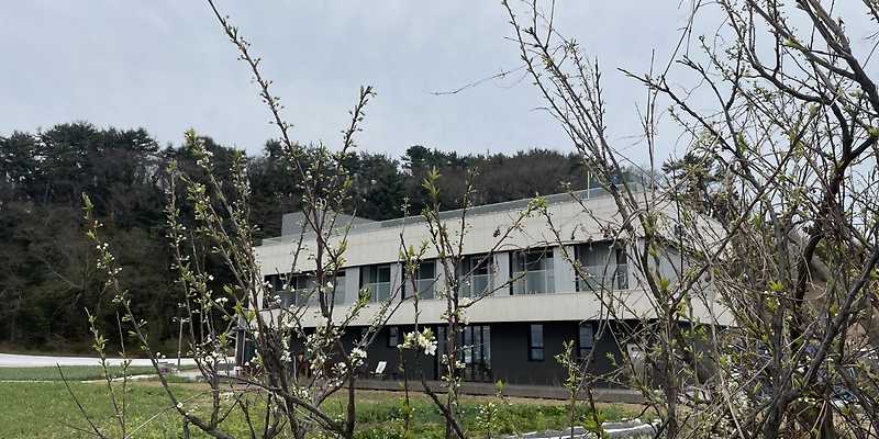 선소207 경상 애견카페