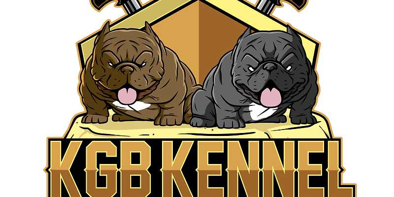 KGB켄넬&dogcafe 경기 애견카페