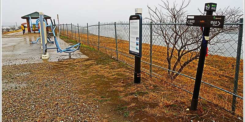DMZ 평화의 길 11코스 경기 애견여행지