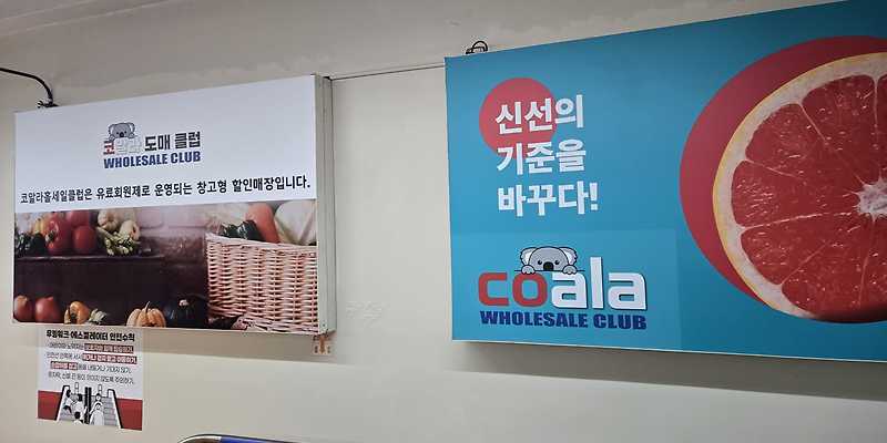 코알라홀세일클럽