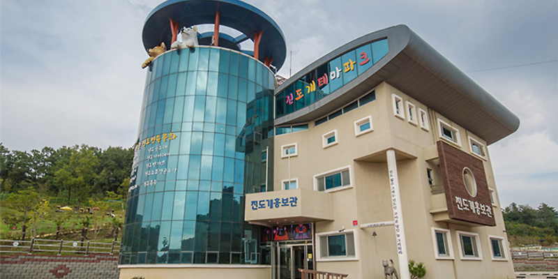 씨앤블루 전라 애견맛집
