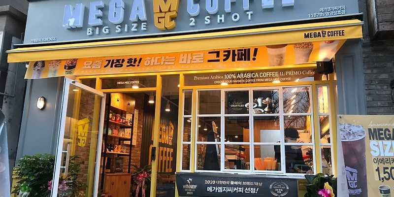 메가MGC커피 영암삼호점 전라 애견맛집