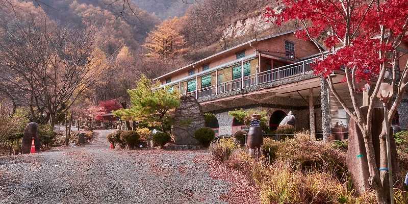 하늘아래별천지 충청 애견숙소