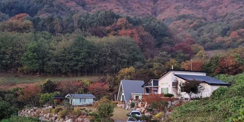 타임스테이 경상 애견숙소