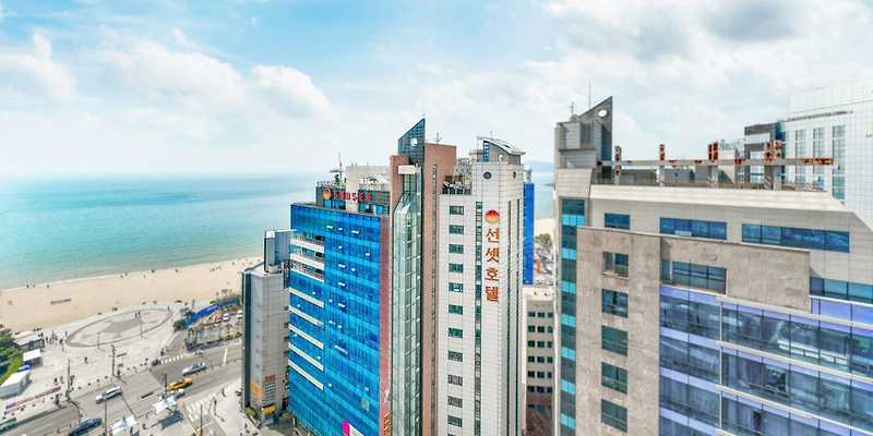 선셋비지니스호텔 부산 애견숙소