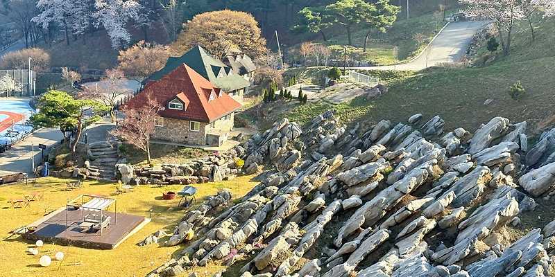 말랑포레스트&amp; 키티포레스트 반려동물 동반 애견카페