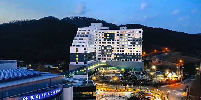 경주 교동한옥집 반려동물 동반 애견카페