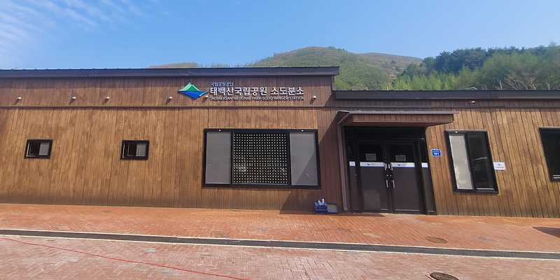 견이랑 반려동물 동반 애견카페