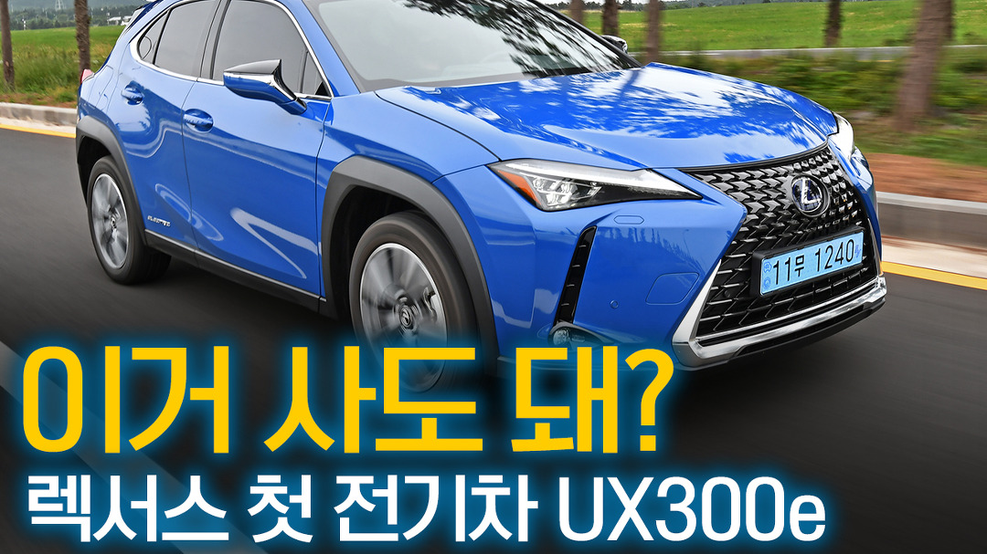 렉서스 첫 전기차 Ux300E 리뷰, 그래서? 이거 사도 돼? | 다음자동차