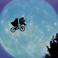 선인장 작가 이미지