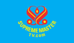 수프림 마스터 TV 실시간 방송 Supreme Master Television Live