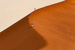 언제부터 였을까