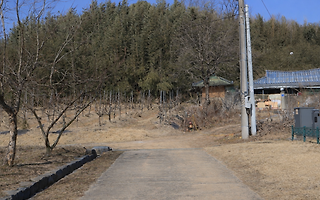 백제는 망했어도
그들의 '유전자'는
사라지지 않았다