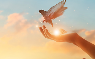 지금 여기서부터&nbsp;