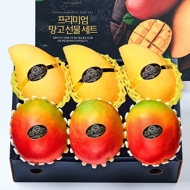 애플망고&골드망고 과일세트 2kg