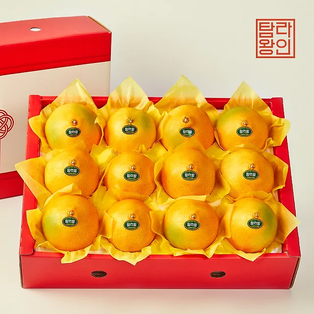 제주 황금향 세트 2.5kg