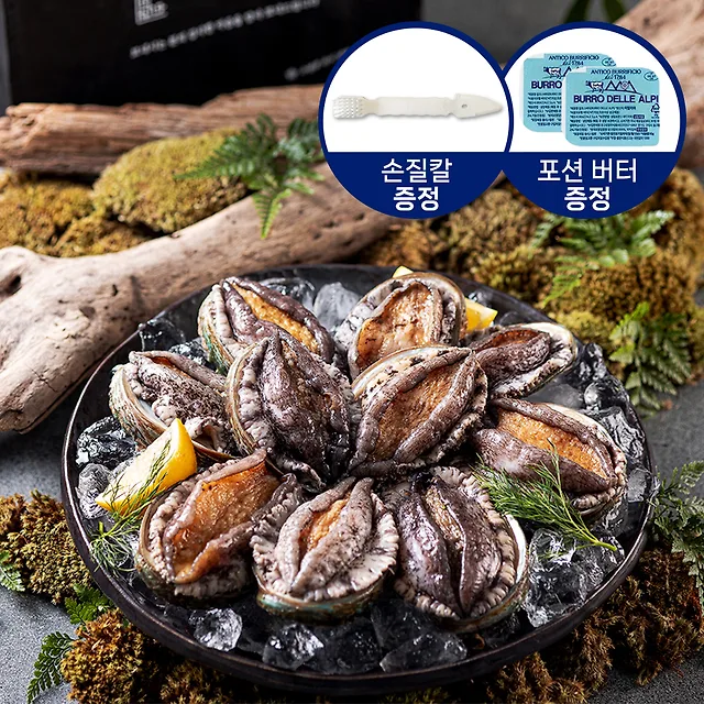 전복 특품 1kg 8~10미