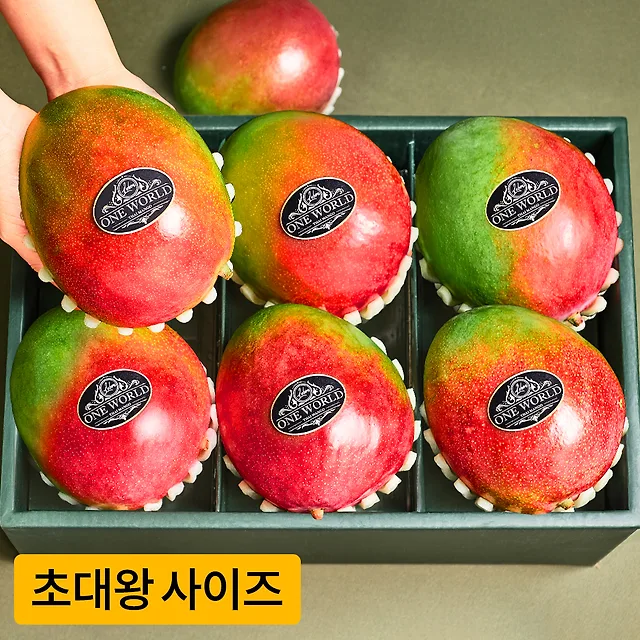 초대왕 애플망고 3.3kg (6입)